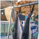 송도마을회관 이미지