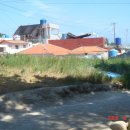 뱃고동 민박 이미지