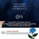 드림아트홀 이미지