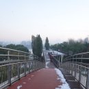 선유교 Daum카페