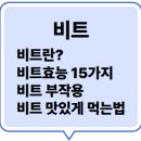 비트 효능 최신정보
