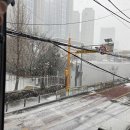 플러스행정사사무소 이미지