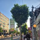 미아마을마당 - 22016 | 홍대입구역/홍대 속눈썹펌 뷰앤므 | 가보자고. 진짜 가야한다고.