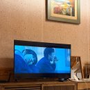 스테이구들 이미지