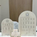 몽실몽실애견미용 | 광주 첨단애견미용실 댕실댕실｜소규모 돌봄 + 스포팅 6mm 하이바컷 변신기