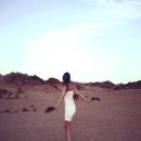 루이스24시동물병원 이미지