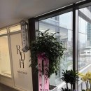 1024헤어(1024HAIR) | 레오드헤어 천호점 멤버십혜택에 반했어, 천호미용실은 무조건 여기