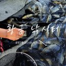 믿고 가는 [황금낚시터]에서 믿을 수 없는 대기록 달성:낚시터+맛집+카페 올인클루시브 여행코스