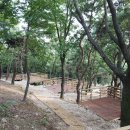 강화도아침숲속캠핑장 이미지