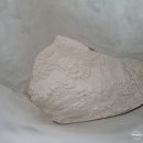 닥터에스지엔 허브 카모마일 효능 모델링팩 시간 순서 하는법