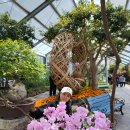 함평 나비축제 이미지