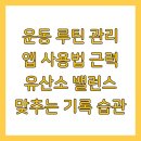 밸런스 라인댄스 | 운동 루틴 관리 앱 사용법 근력 유산소 밸런스 맞추는 기록 습관