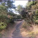 종달바당 이미지