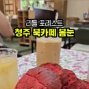 호정작은도서관 | 청주 북카페 봄눈 온기 가득한 곳