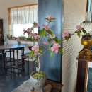 야생화 자수 | [강화. 카페] 봄이 되면 또 가고싶은 카페, 야생화뜰