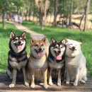 눈치