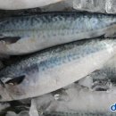 창대사료 이미지