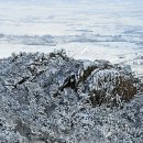 용봉산권역