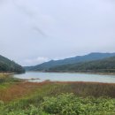 행정사 사무소 신세계 이미지