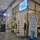 경기도 수원시 영통구 센트럴타운로 | 수원 영통 맛집 비건 비긴즈 디저트 빵 카페