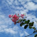 아주맑은마을협동조합 이미지