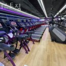 어니스트 짐 이미지