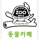 해피주 동물카페 원주점 이미지