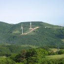 야생화답사 이미지