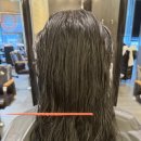 댕댕이 커트방 | 덕양구미용실 토리헤어 원흥점 딥레이어 클리닉과 여성 컷트, 친절한 삼송미용실 원흥미용실 추천