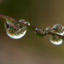 들꽃피는언덕 이미지