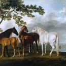 강이 있는 풍경 이미지