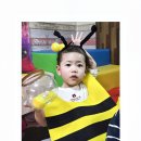 2026년 4월 4주 영어&amp;오감특별활동( firefighter/윙윙 꿀벌이 되어요) 이미지