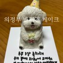 곱슬강아지 | 의정부 강아지 케이크 입체 디자인 멍개식당 만족 후기