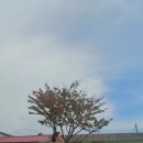 모모펜션민박 이미지