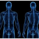 은계바른정형외과의원 | 시흥도수치료, 척추측만증의 원인과 영향 무엇이 있을까요? <필독>