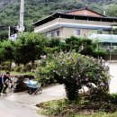 내곡1리 마을회관 이미지