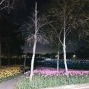 이레올래 이미지