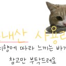 도이직구