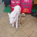오금교 - 파주시 | 구로 오금교 컴포즈커피 후기