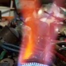 하늘을 향하여 이미지