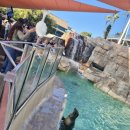 씨월드 피시 | [미국 한달 여행 #29] 샌디에이고 5박 6일 (3) - 씨월드 (SeaWorld)