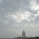 감:돈