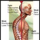 매곡한의원 이미지
