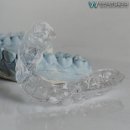 원진치과기공소 이미지