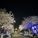 신월5동주민센터 이미지