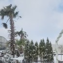 다솜스테이 이미지