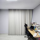 금산느티나무 이미지