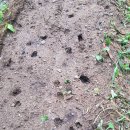 대련농장 이미지