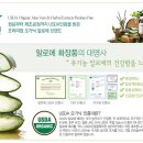 올가라인화장품 네이버블로그