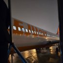 프렌치 비자림 | 여자 혼자 3박 4일 제주 여행